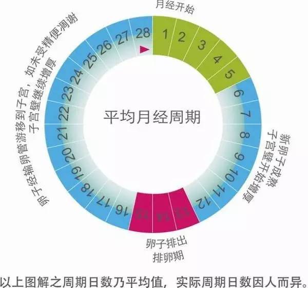月经两个月来一次的原因分析