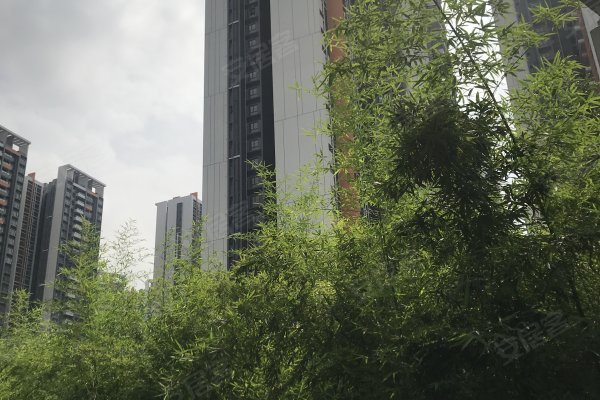 易家房产中介，连接人与家的桥梁