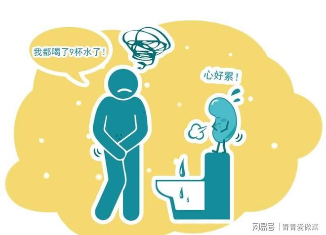 一个月一次尿，关于人体排尿的探究