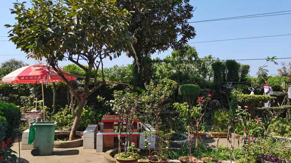 广东省农村花园标准，塑造美丽乡村新面貌
