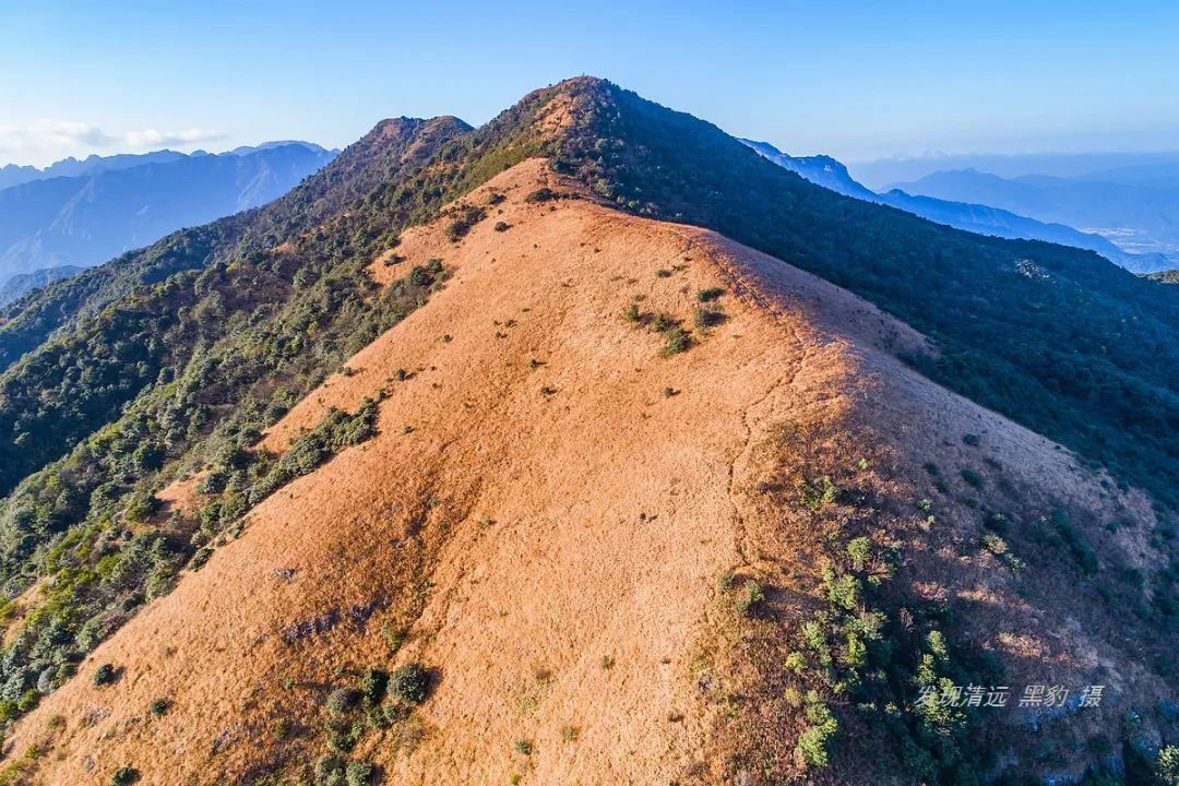 广东毛毯有限公司，传统工艺与现代管理的完美结合